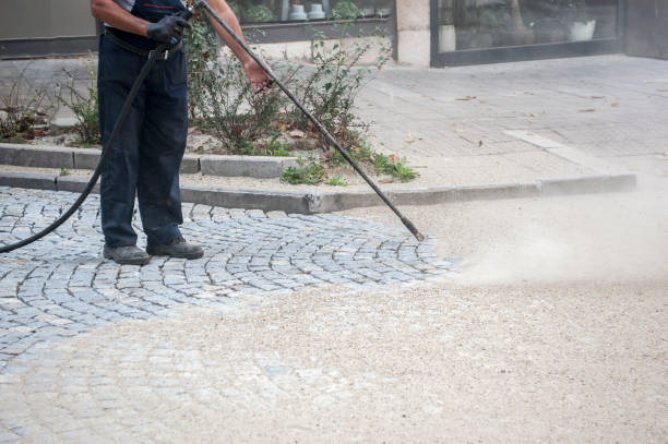 Best Animal Enclosure Cleaning  in Buffalo, WY